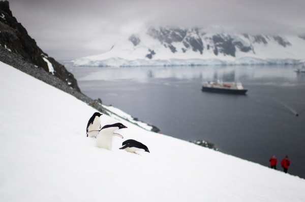 My sister's Antarctic wedding proposal. Photographs by Rebecca Yale Portraits.