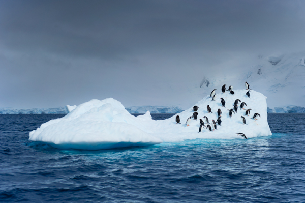 My sister's Antarctic wedding proposal. Photographs by Rebecca Yale Portraits.
