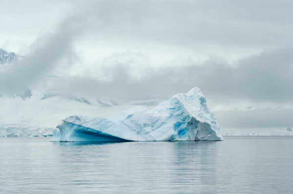 My sister's Antarctic wedding proposal. Photographs by Rebecca Yale Portraits.
