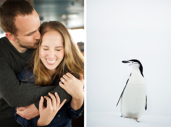 My sister's Antarctic wedding proposal. Photographs by Rebecca Yale Portraits.