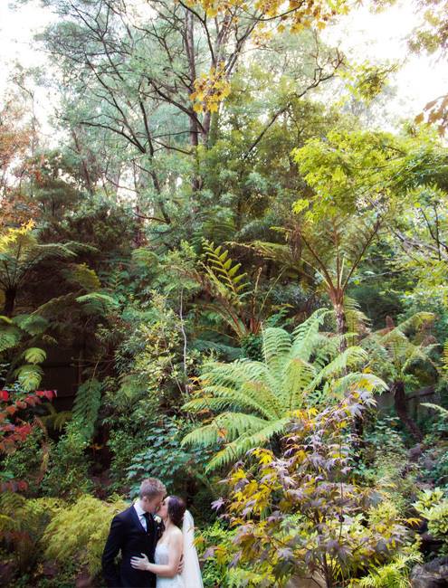 Lyrebird Falls venue showcase