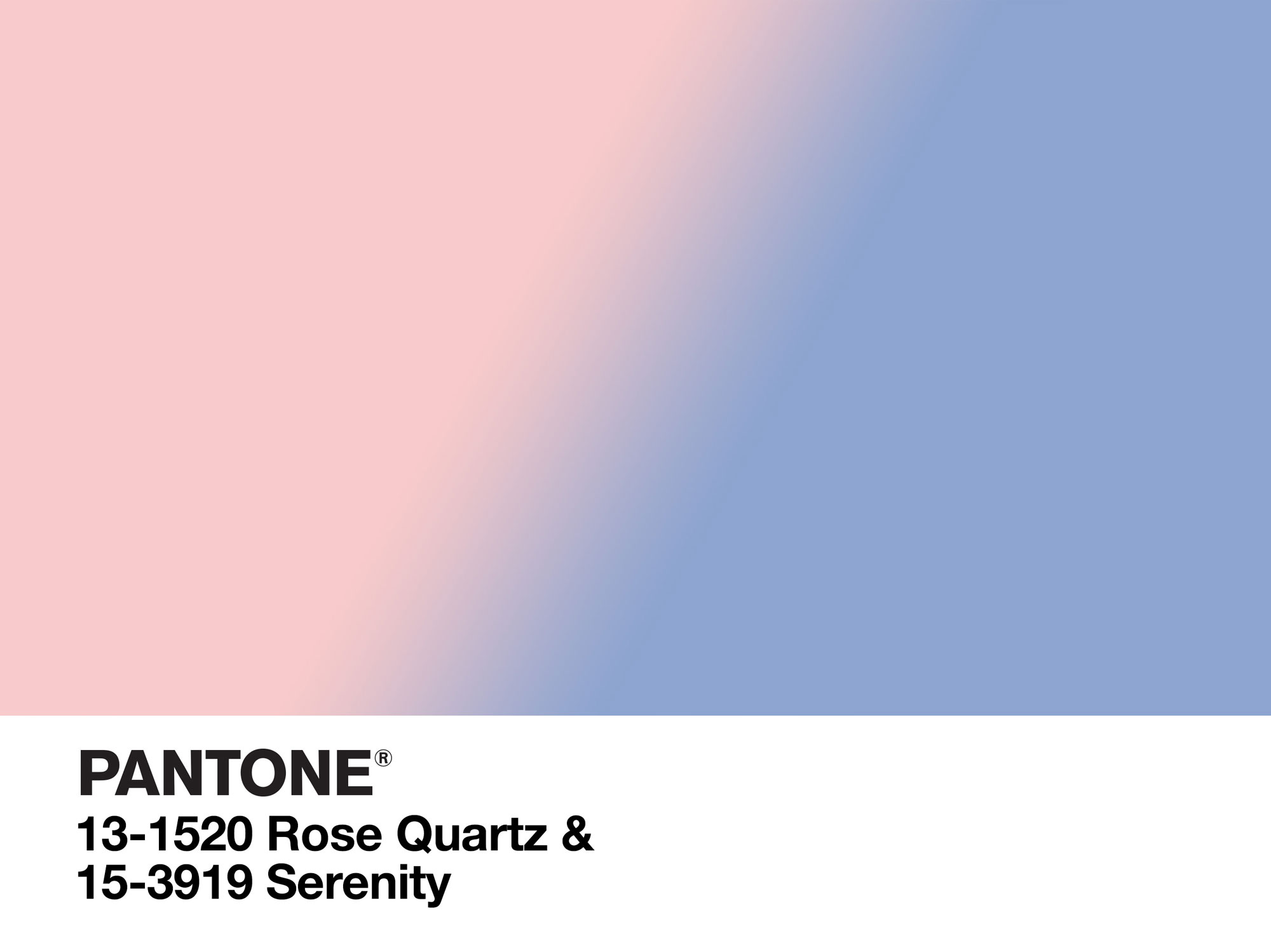 Image: Pantone