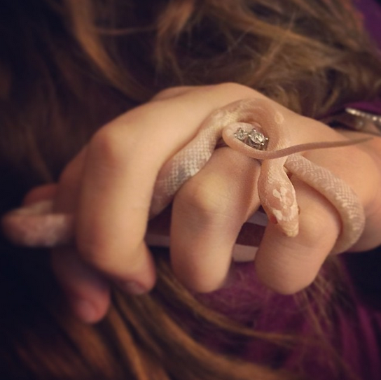 Source: bridetobestephaniee Instagram