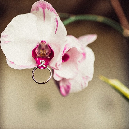 Source: valeriamameli Instagram