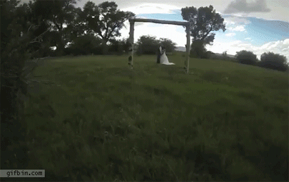 Stray camera during wedding photo shoot