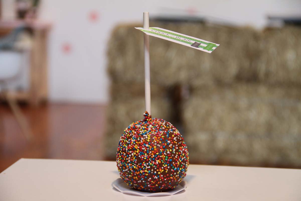 Wedding Expo - Trends 2015 (39)