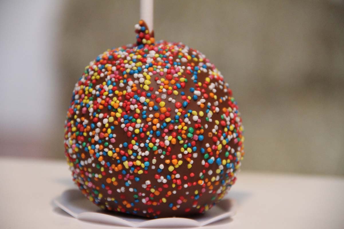 Wedding Expo - Trends 2015 (40)