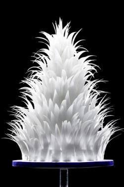 cake with edible rice paper topping