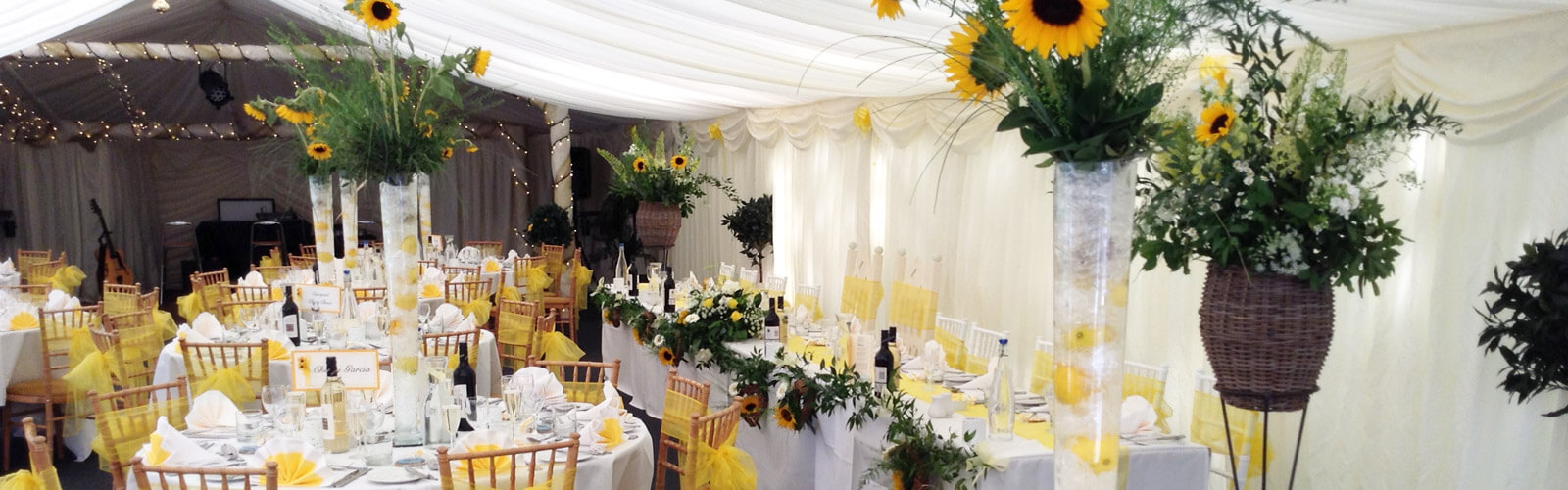 content-wedding-marquee