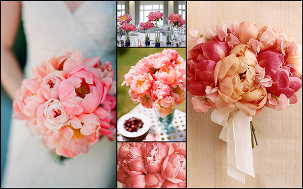 coral peonies bouquets