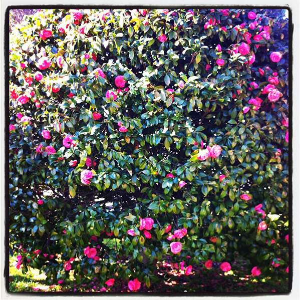 the first spring day