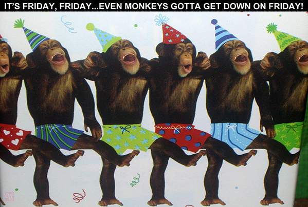 friday monkeys dancing