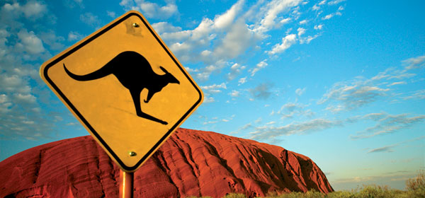 Honeymoon road trip - Get in the car - and start driving! 