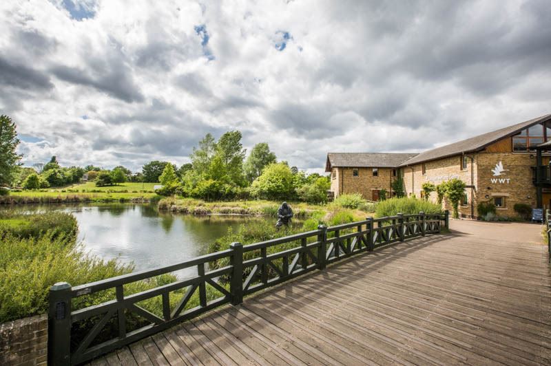 wwt london wetland centre, small wedding venues london