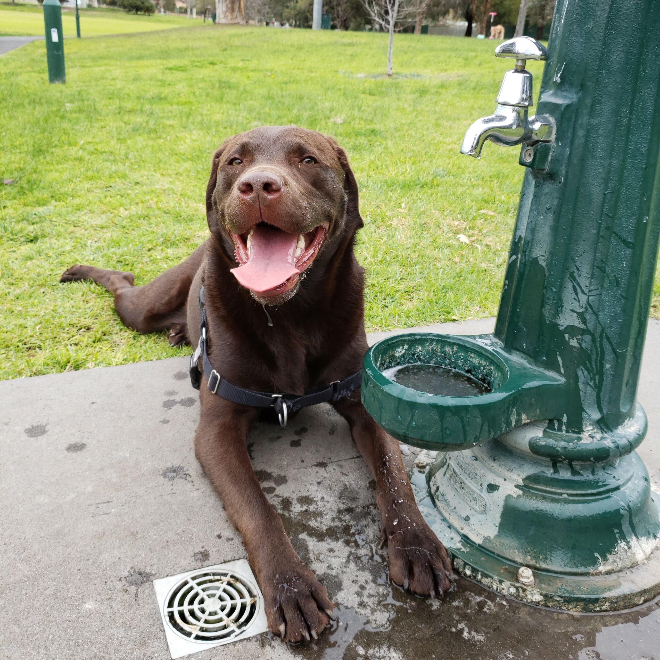 night before your wedding