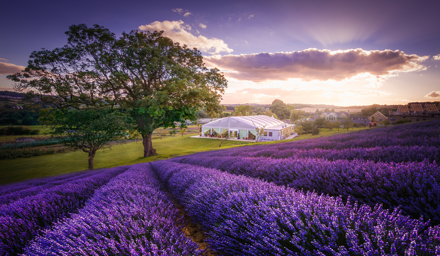 wedding venues durham