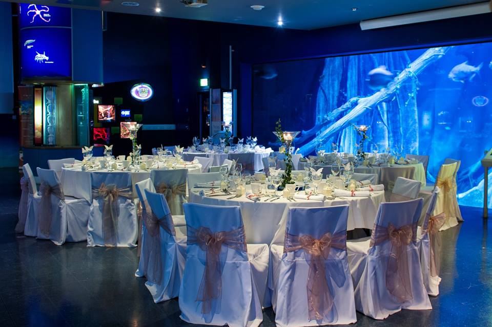 the deep, wedding venues hull