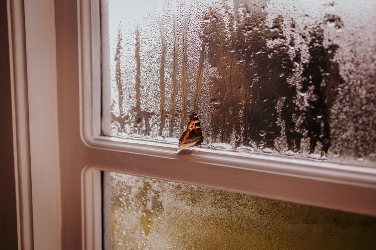 The Lancrigg wedding for Jenny and James. Photographed by Clare Geldered.