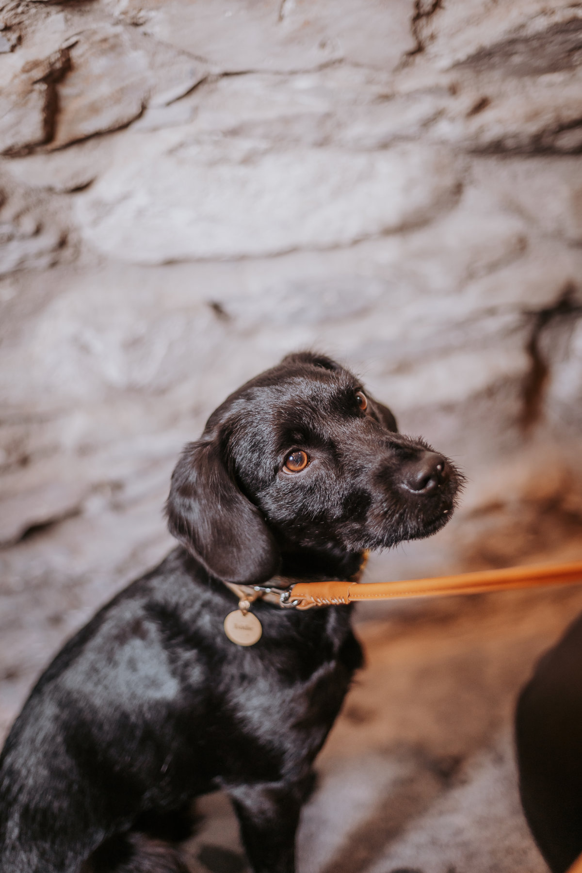The Lancrigg wedding for Jenny and James. Photographed by Clare Geldered.
